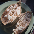 Botanical Face Cleanser