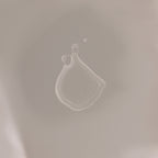 Botanical Booster Lotion